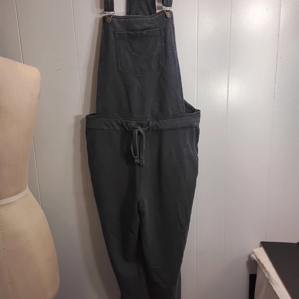 Wallflower Dark Gray Jumpsuit